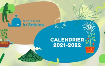 Calendrier Baleine 2021-2022 (2)_page-0001